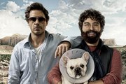 Due Date (2010) Robert Downey Jr, Zach Galifianakis