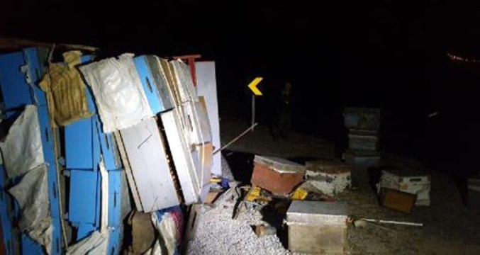 Arı Kovanı Yüklü Kamyon Devrilince Etrafa Yayılan Arılar Panik Yarattı