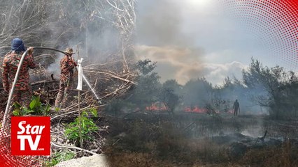 Wildfires flaring up again in northern Sarawak
