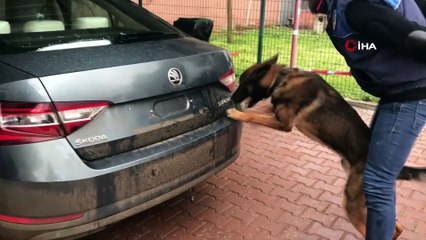 Adanada uyuşturucu operasyonu: 150 kilo esrar ele geçirildi