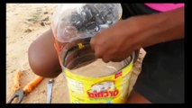 How to Make Bird Traps - Pigeon Traps from Plastic Bottles