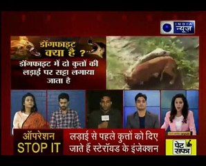 इंसान के शौक के लिए कुत्तों की जान का तमाशा; खुनी खेल के खिलाफ इंडिया न्यूज की म