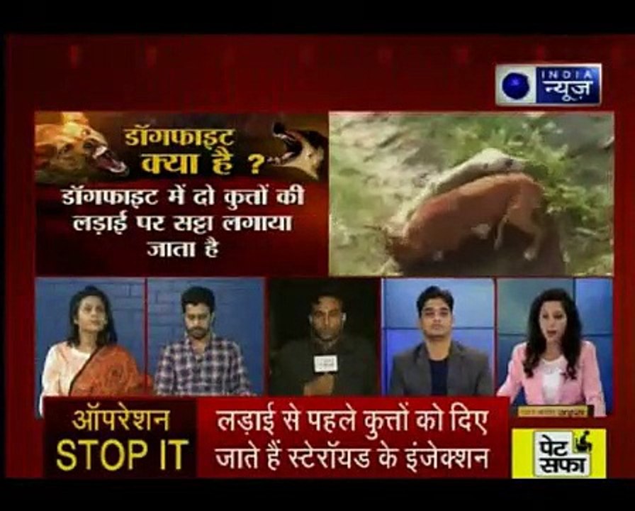 इंसान के शौक के लिए कुत्तों की जान का तमाशा; खुनी खेल के खिलाफ इंडिया न्यूज की म