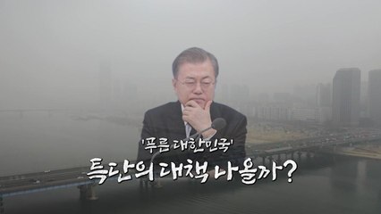 [영상] '푸른 대한민국' 특단의 대책 나올까? / YTN