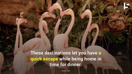 The World's Most Amazing (Fake) Vacation Destinations