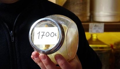 Damla Sakızının Fiyatı El Yakıyor: Kilosu 1700 Lira