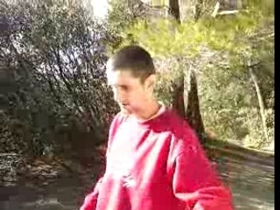 Ali dirt