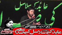 Zakir Naaz Hussain Jafry Vanikay Tarar 20th Muhram 1440(2018) Choti Behak Hafizabad