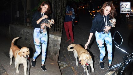 Mandana Karimi's Day Out With Her Pets | WATCH VIDEO