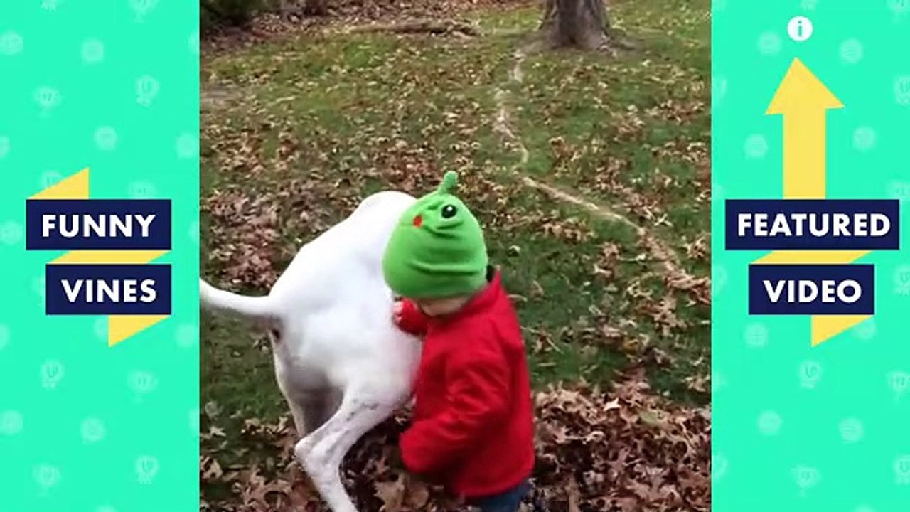TRY NOT TO LAUGH Cute FUNNY ANIMALS Funny Videos March 2019