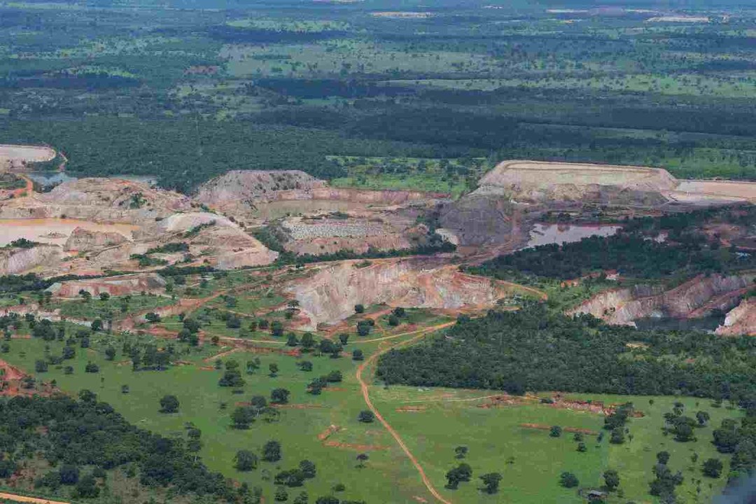 Alles über weltweite Entwaldung
