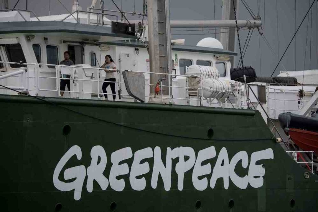 Alles über Umweltschutzorganisationen