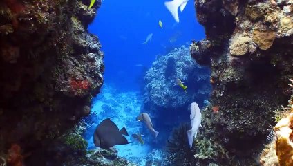 마포구출장안마 -100%미인ョØ7Øf8782a38ØØ【카톡tpr828】마포구전지역출장마사지샵마포구출장go안마ok마포구출장마사지황형ヨラリ일본인출장최저가출장