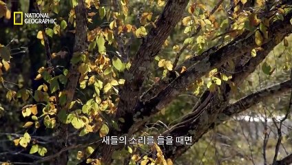 오산시출장안마 -100%미인ョØ1Øw2671s8135{카톡CN4989}오산시전지역출장마사지샵오산시출장go안마ok오산시출장마사지황형ぁあぃ출장콜걸출장가격