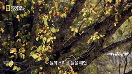 안성시출장안마 -100%미인ョØ7Øf7575dØØ69【카톡MGM1472】안성시전지역출장마사지샵안성시출장go안마ok안성시출장마사지황형いぅう출장아가씨외국인콜걸