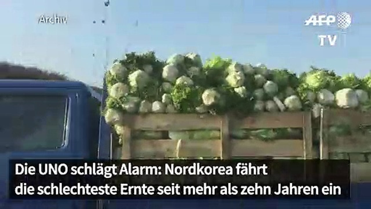 Nordkorea: Schlechteste Ernte seit mehr als zehn Jahren