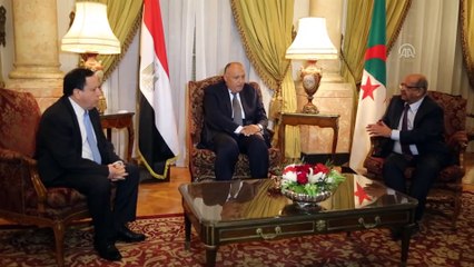 Libya'ya komşu ülkeler BM'nin çabalarına destek için anlaştı - KAHİRE