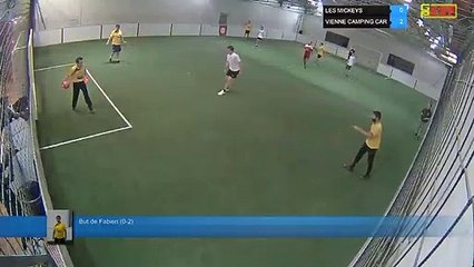 But de Fabien (0-2) - LES MICKEYS Vs VIENNE CAMPING CAR - 05/03/19 19:18 - LIGUE 4