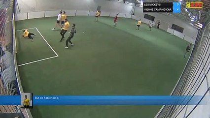 But de Fabien (0-4) - LES MICKEYS Vs VIENNE CAMPING CAR - 05/03/19 19:18 - LIGUE 4