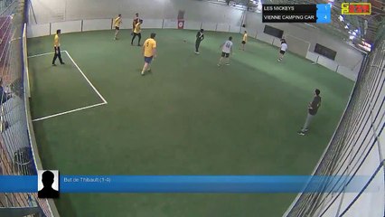 But de Thibault (1-4) - LES MICKEYS Vs VIENNE CAMPING CAR - 05/03/19 19:18 - LIGUE 4