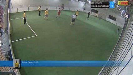 But de Fabien (2-12) - LES MICKEYS Vs VIENNE CAMPING CAR - 05/03/19 19:18 - LIGUE 4