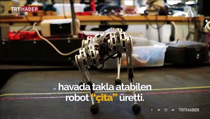 Ters takla atan "robot çita"