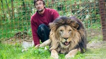 Czech man attacked and killed by lion he kept as pet