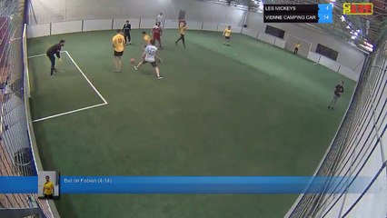 But de Fabien (4-14) - LES MICKEYS Vs VIENNE CAMPING CAR - 05/03/19 19:18 - LIGUE 4