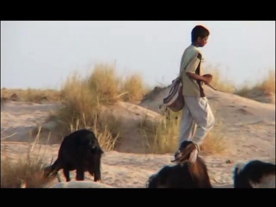 Tunisie, le Grand Sud tunisien