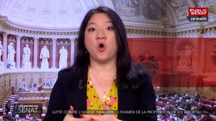 Download Video: PPL sur le logement insalubre - Les matins du Sénat (06/03/2019)