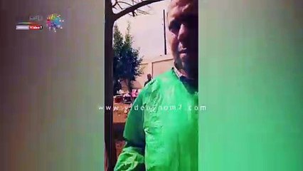 6 قوافل بيطرية لعلاج الحيوانات بالمجان فى القليوبية