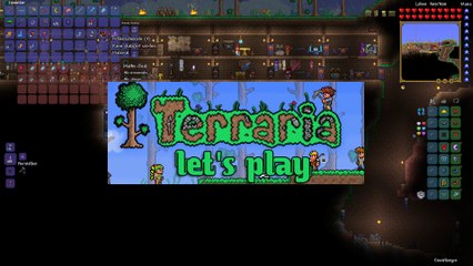Terraria Let's Play 145: Ausflug in die Anti-Schwerkraft