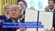 President Trump Is Helping Prevent Veteran Suicides
