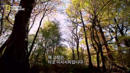 거창출장안마 -100%미인ョØ7Øj4949h6356【카톡GM1212】거창전지역출장마사지샵거창출장go안마ok거창출장마사지황형きぎく서비스1위미인아가씨