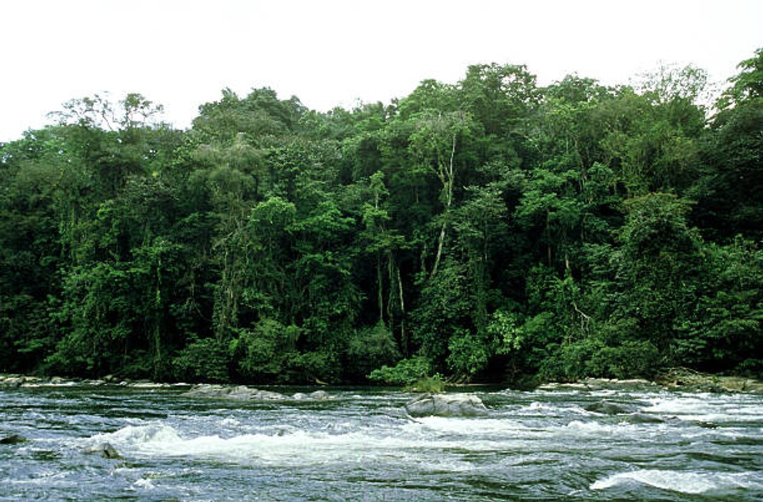 15 Stätten, die auf der UNESCO-Liste des Weltkulturerbes als 'in Gefahr' eingestuft sind