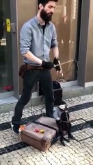 Artista de rua toca “Shallow” de Lady Gaga de forma impressionante!
