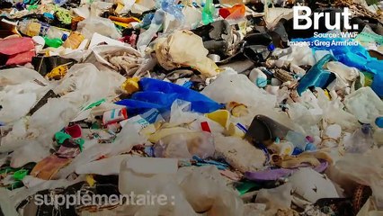 L'ONG WWF a une solution qui pourrait nous sortir de la crise du plastique