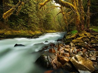 Trio Esperança e Chico Buarque - Mar e lua