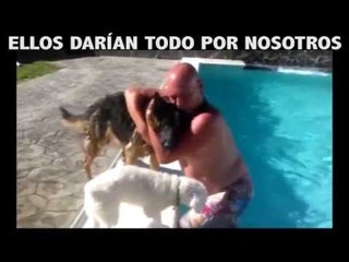 Por eso dicen que los perros son los mejores amigos del hombre.