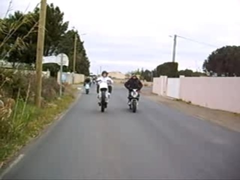 Cabbre pti petou et gg 34 tkt