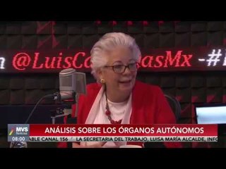 Los órganos autónomos: Mesa MVS