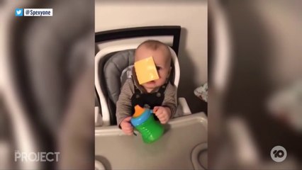 The Cheese Challenge 2019