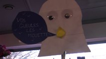 Actus : le cri de la mouette, millesime 2019 ! - 06 Mars 2019