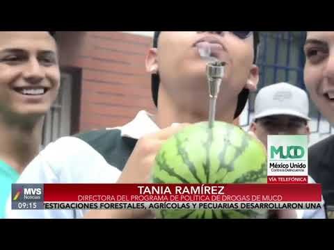 Amparos para fumar marihuana