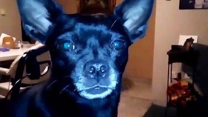 EN TU PLATITO HAY HUESITOS?