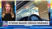 Lucky driver unscathed after plywood smashes through windshield