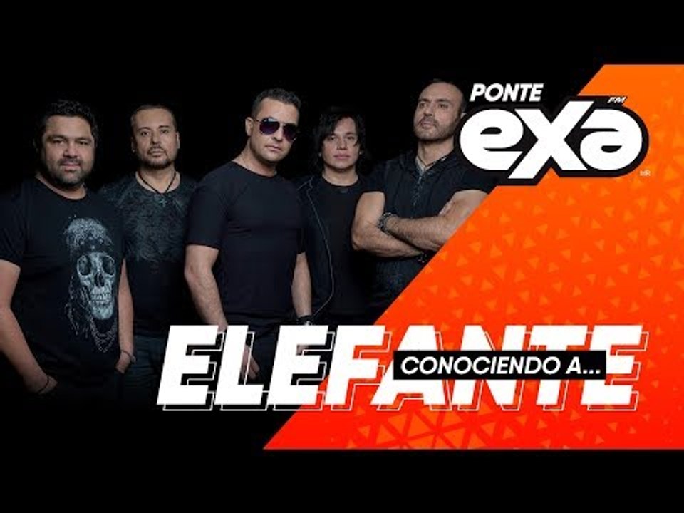 Conociendo a Elefante