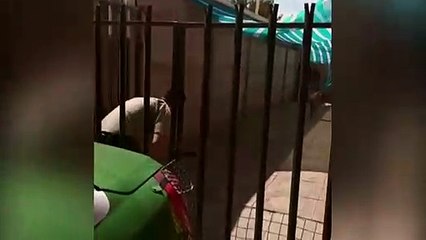 Dog ‘cuddles’ police officer who rescued him