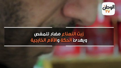 مملكة التوابل..  فوائد النعناع