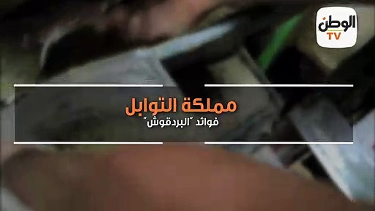 مملكة التوابل..  بردقوش